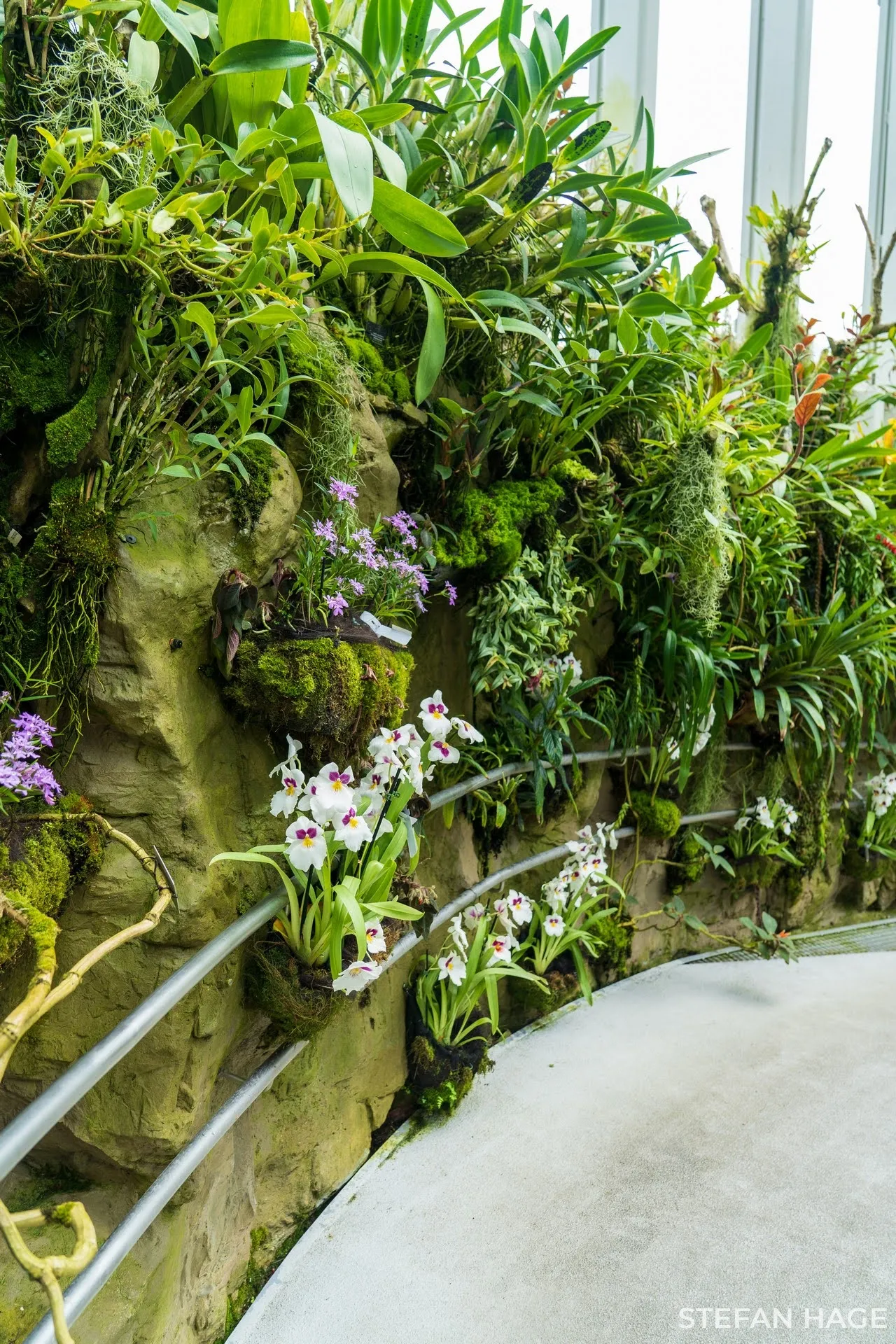 Orchid Garden Singapore