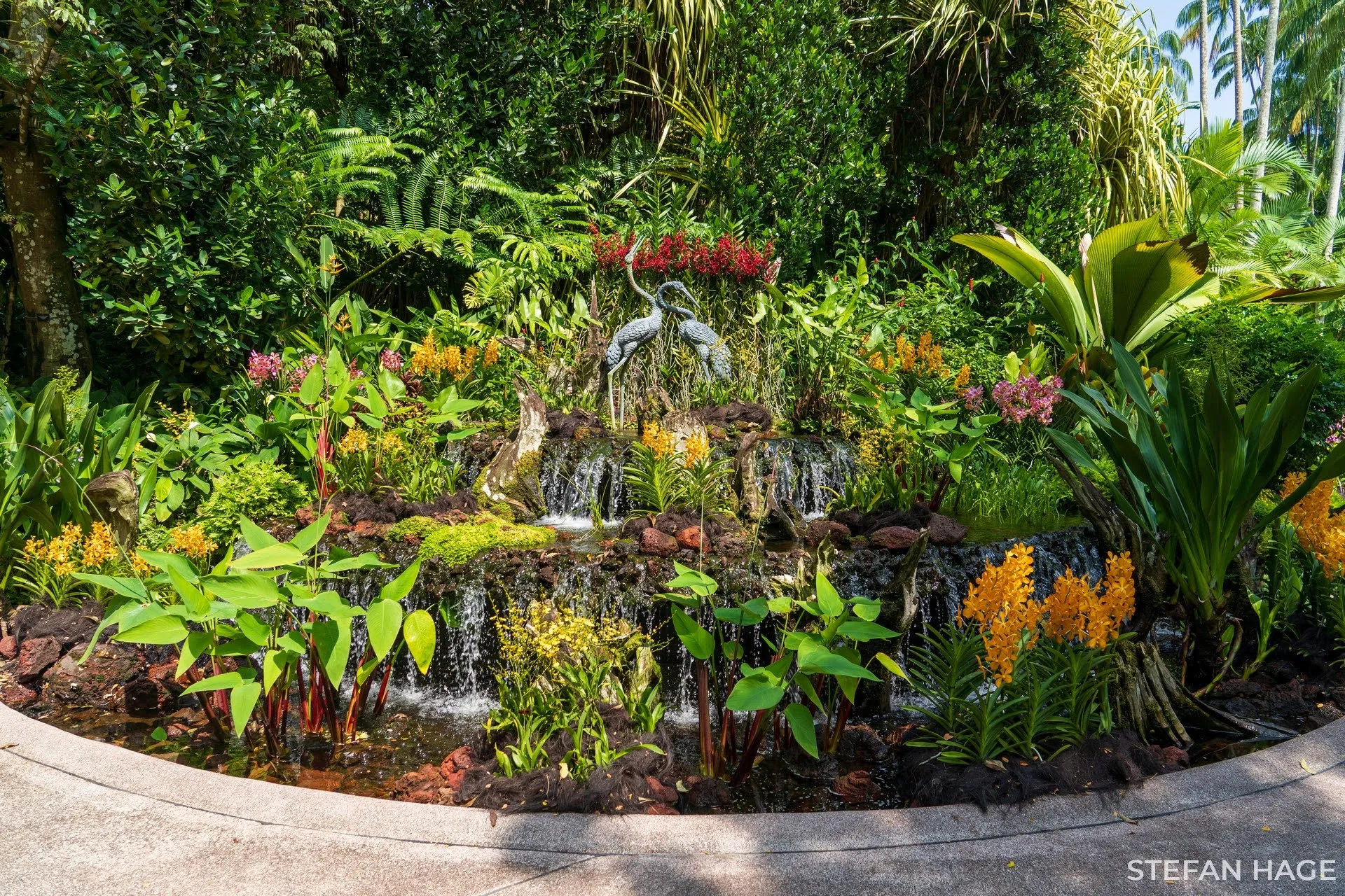 Orchid Garden Singapore