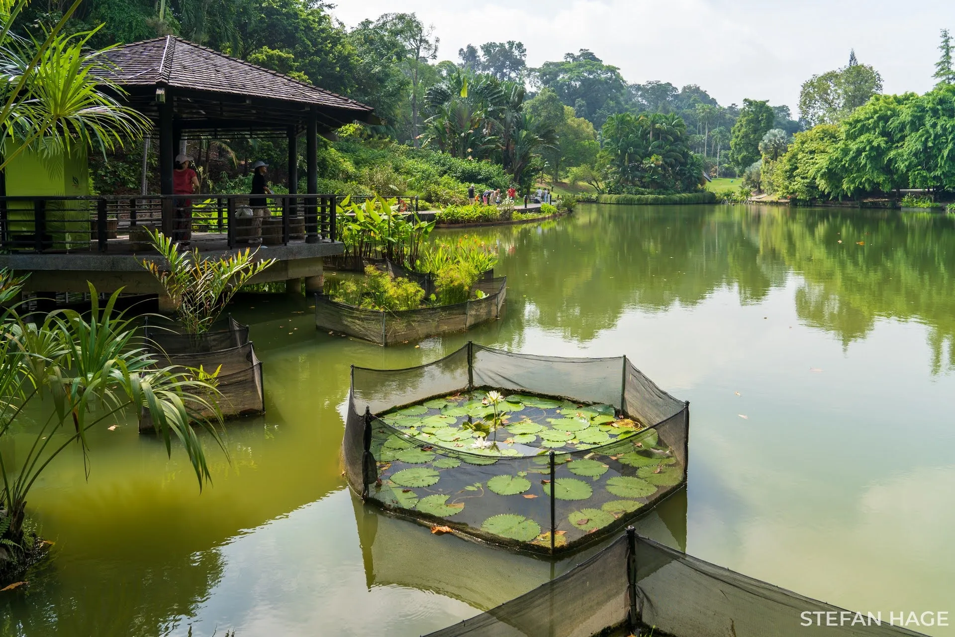 Singapore Botanische Tuin