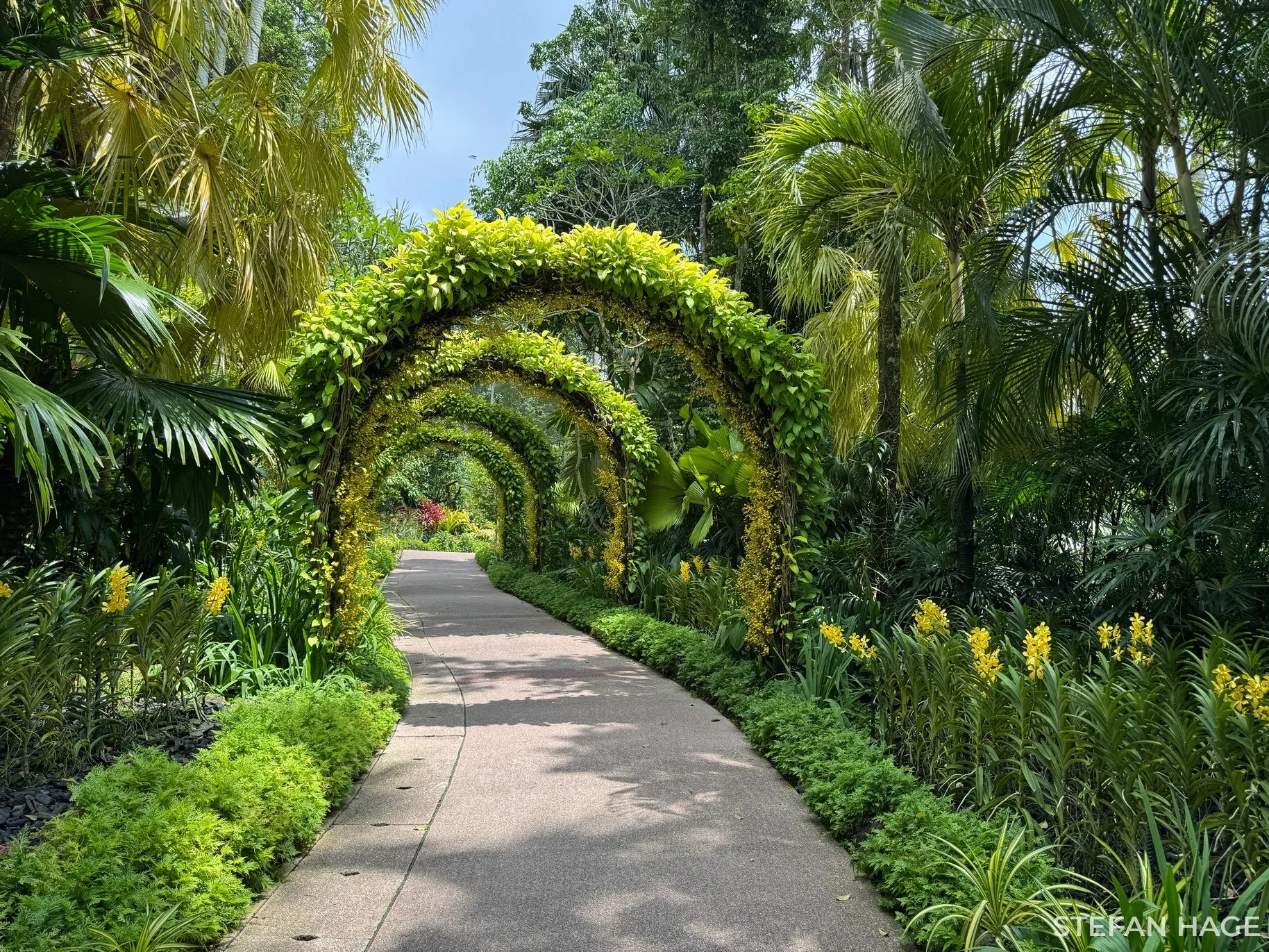 Botanische tuin Singapore