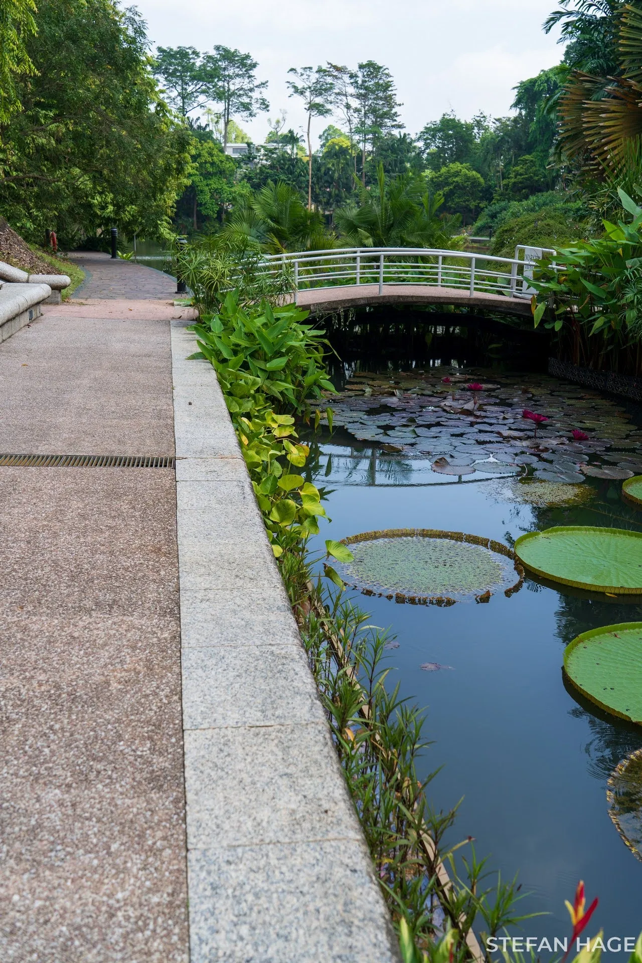 Singapore Botanische Tuin
