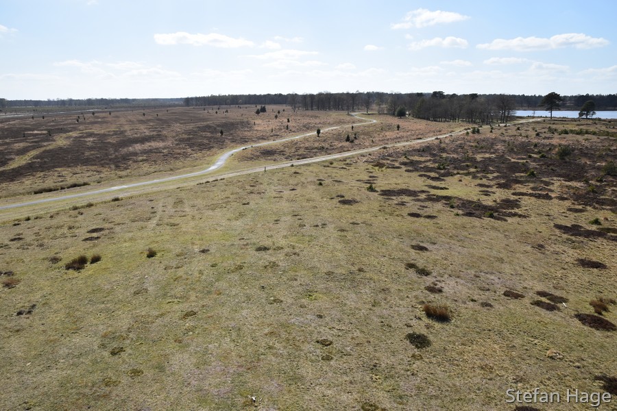 Drents-Friese Wold