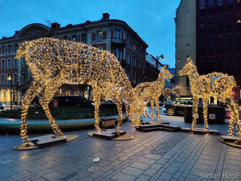 Stockholm illuminated animals