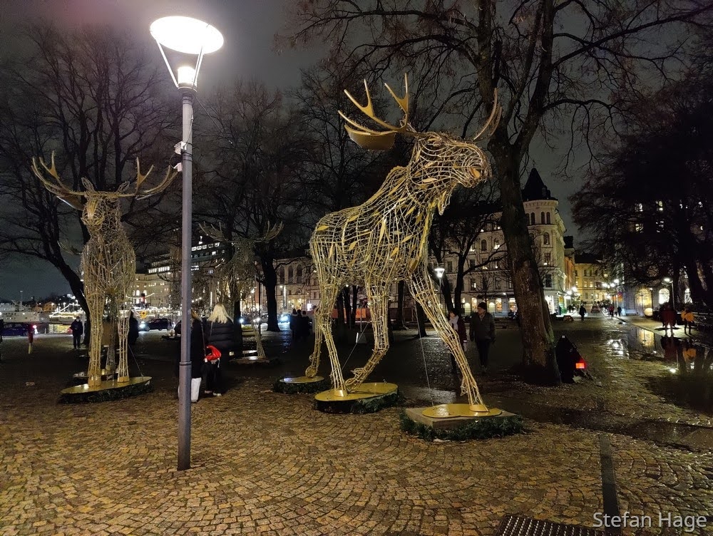 Stockholm verlichte dieren