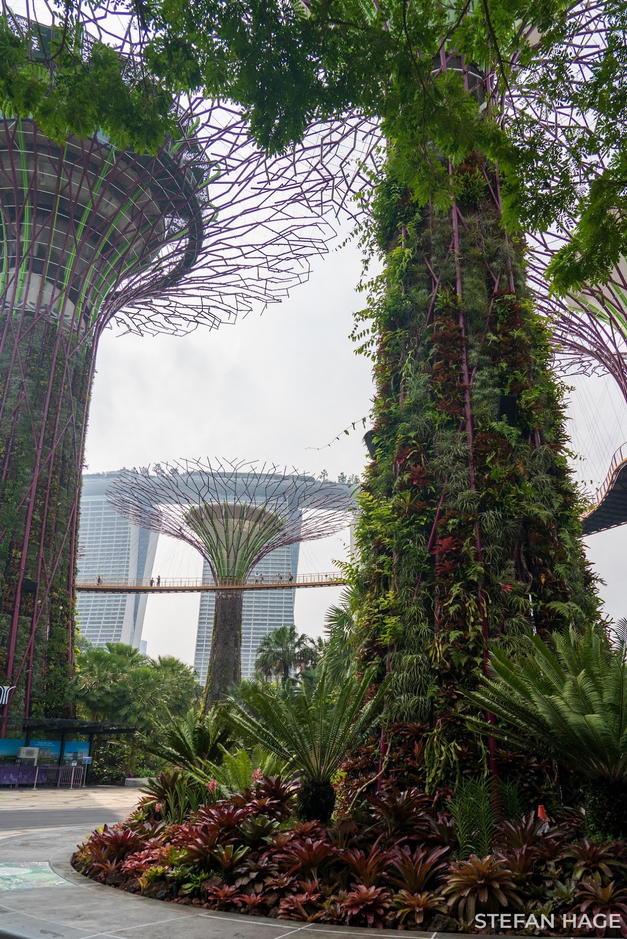 Supergrove Tree Singapore Gardens by the Bay