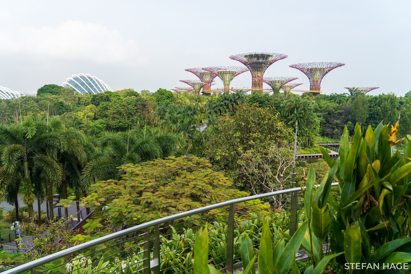 Gardens by the Bay Singapore