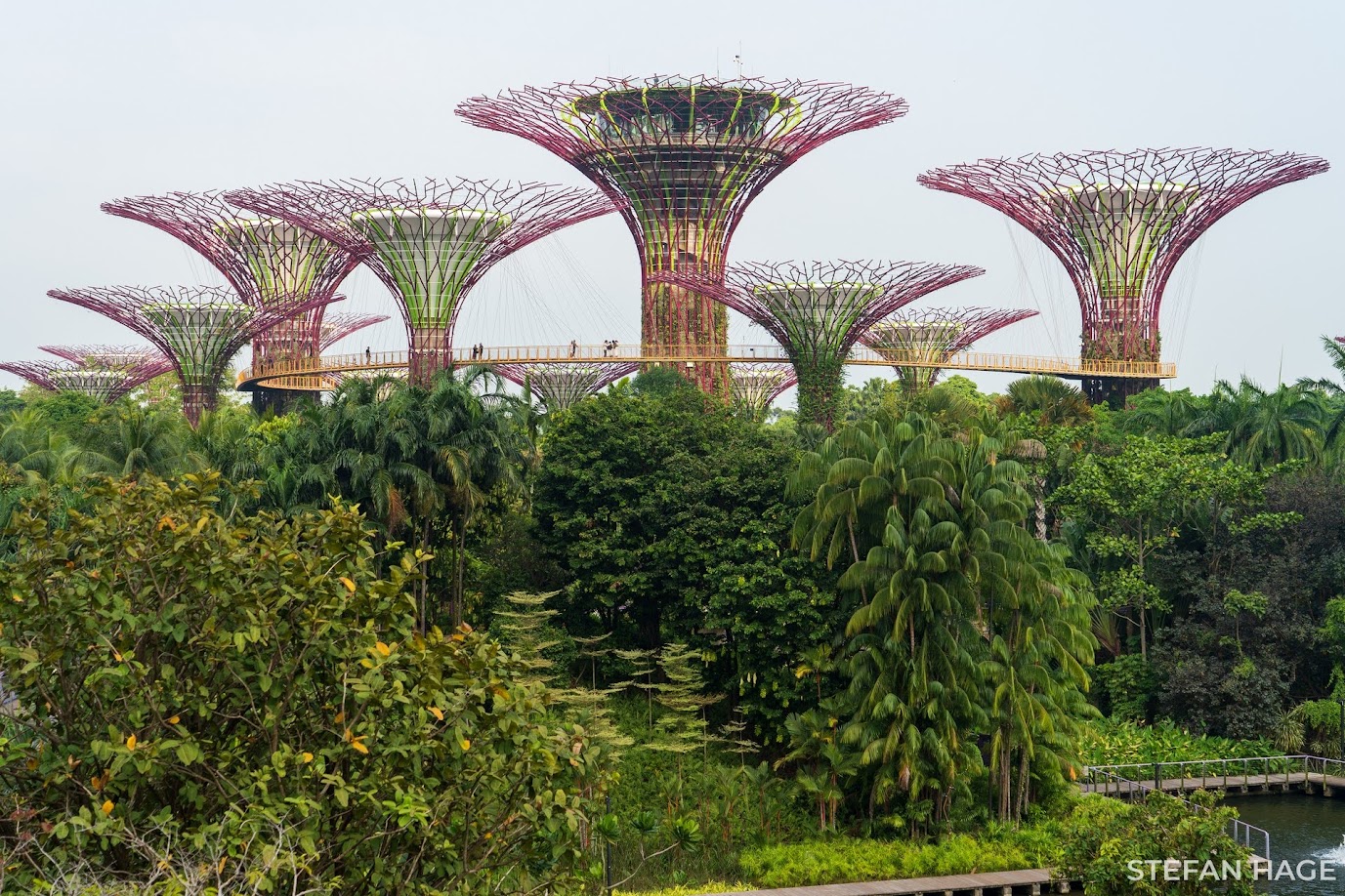 Gardens by the Bay Singapore