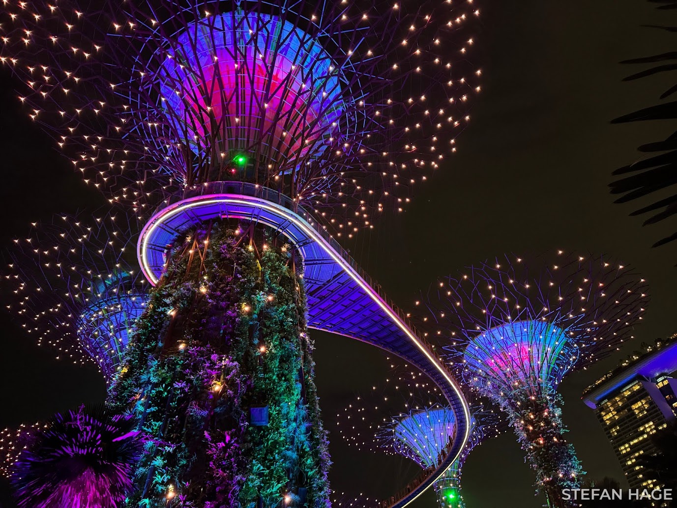 Nightshow lightshow Supergrove tree Gardens by the Bay