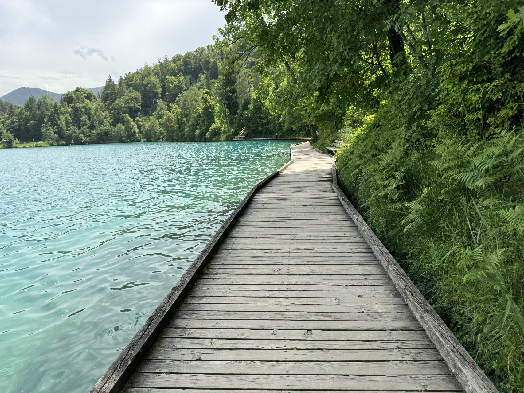 Het meer van Bled wandeling