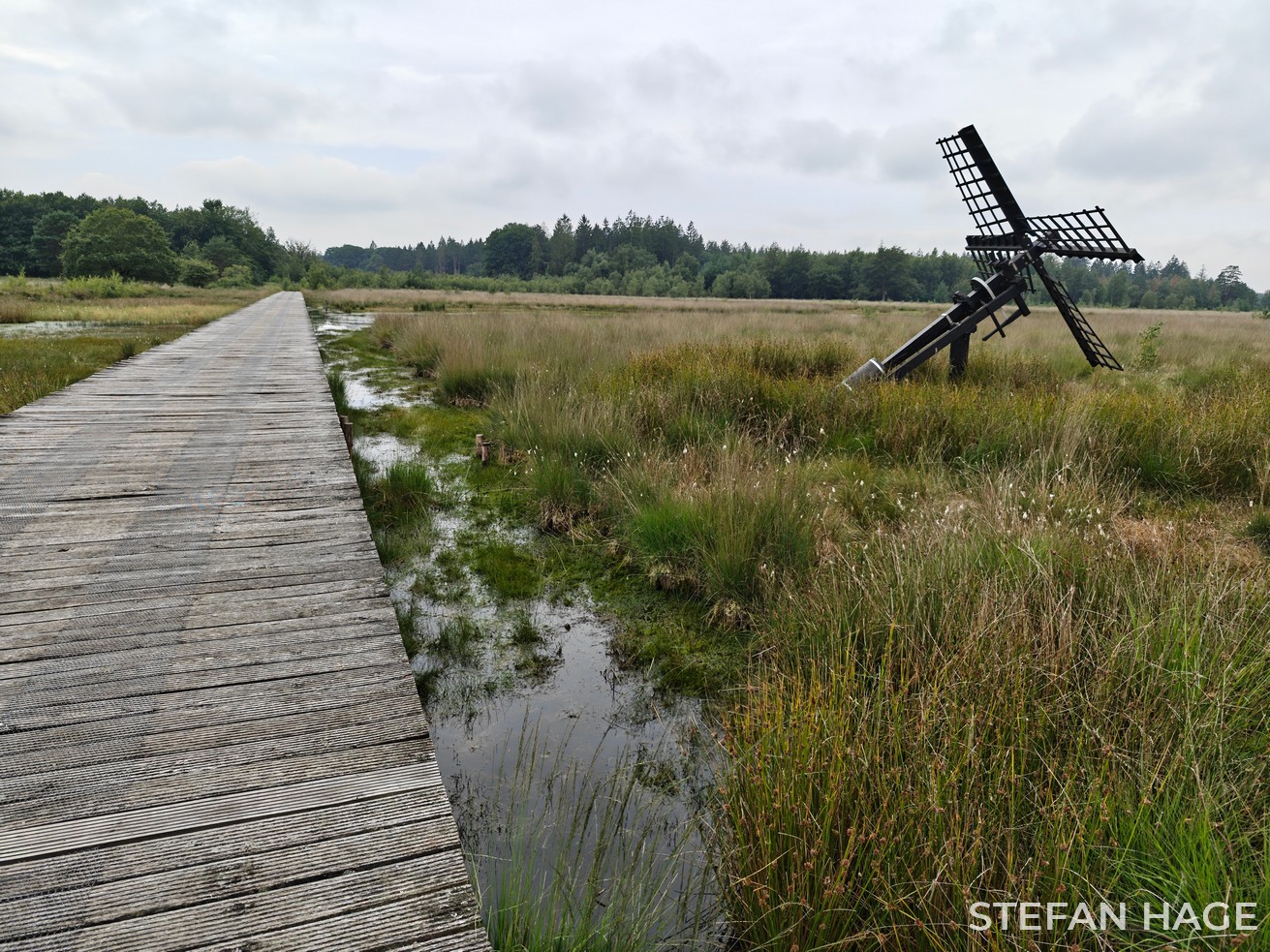 Boswachterij Grolloo Vlonderpad