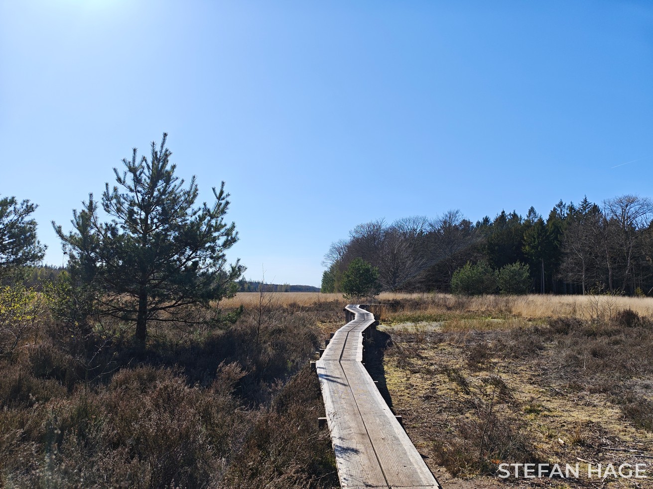 Boswachterij Grolloo Drenthe