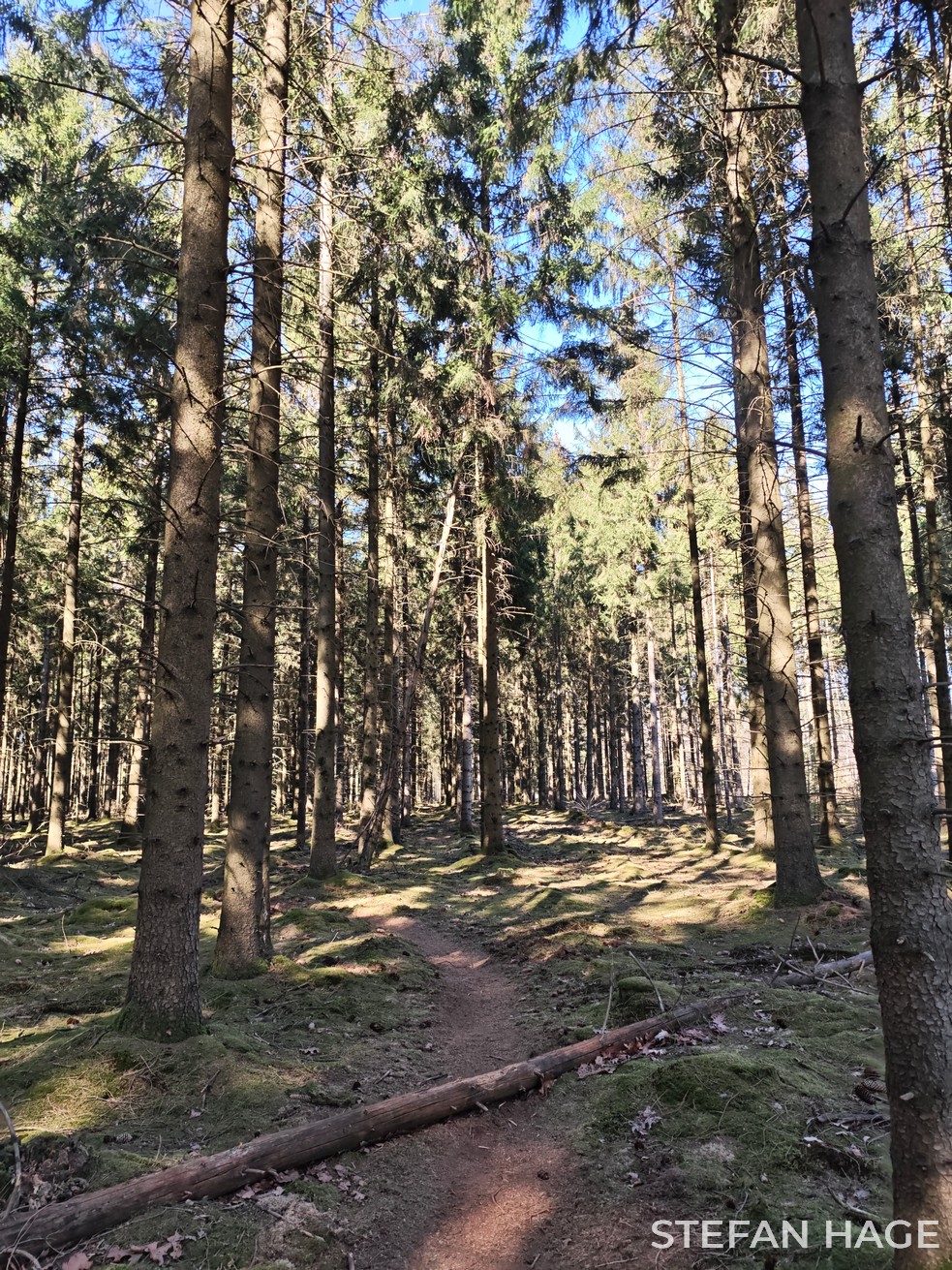 Boswachterij Grolloo