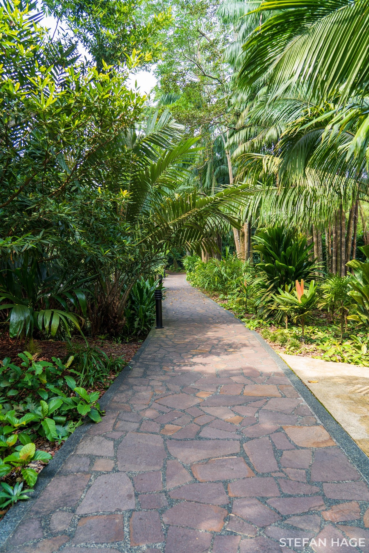 Singapore Botanische Tuin