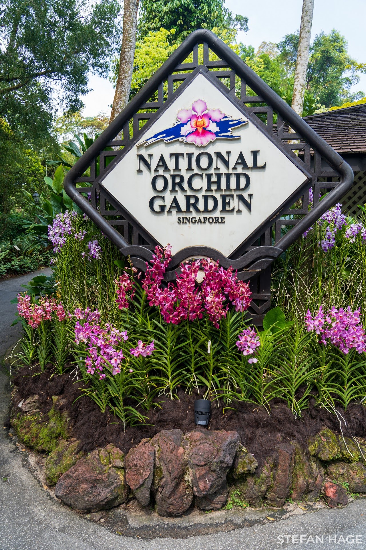 Orchid Garden Singapore