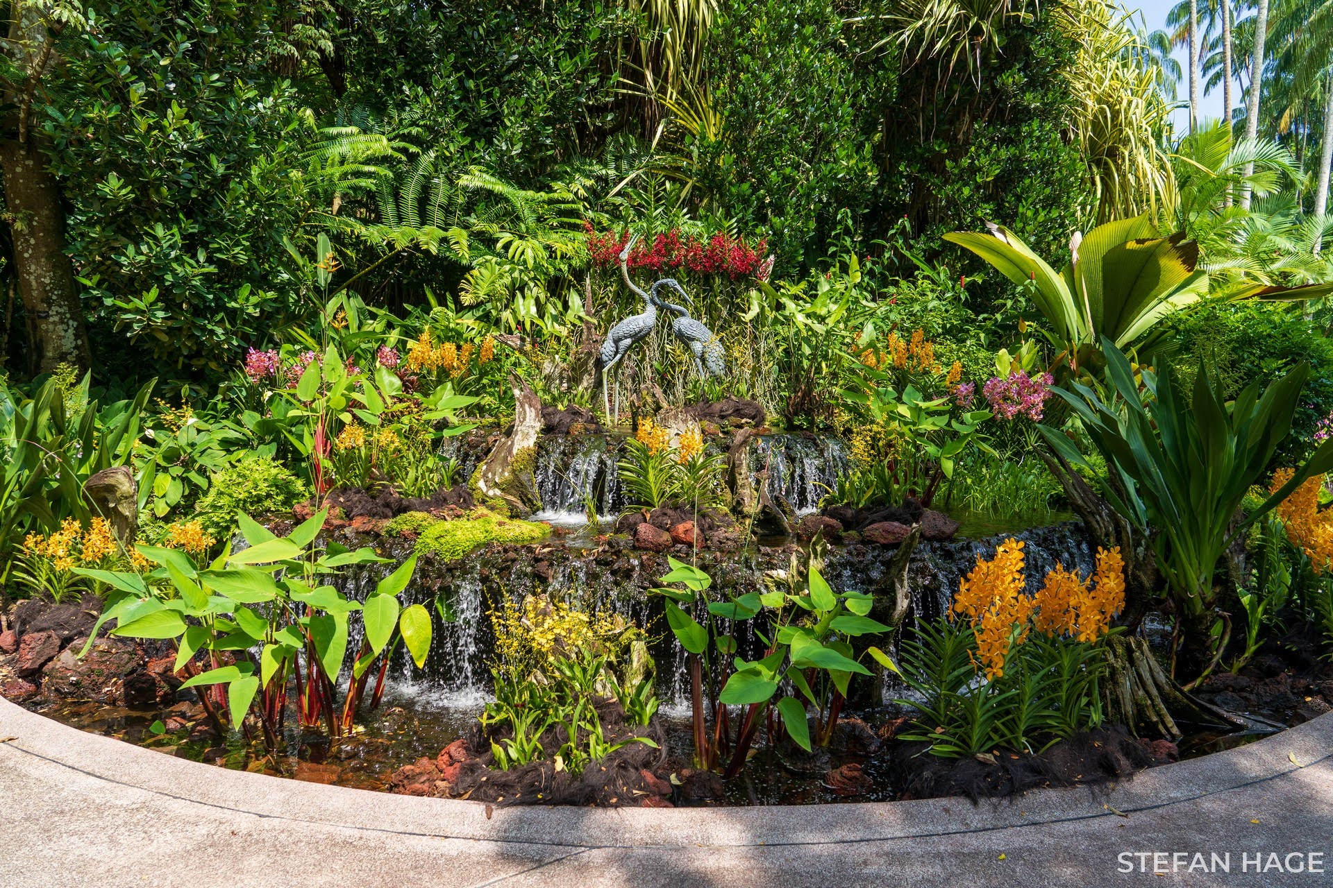 Orchid Garden Singapore