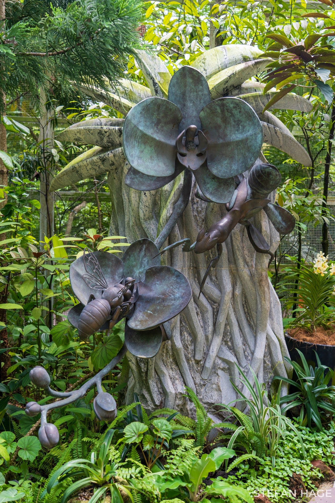 Orchid Garden Singapore