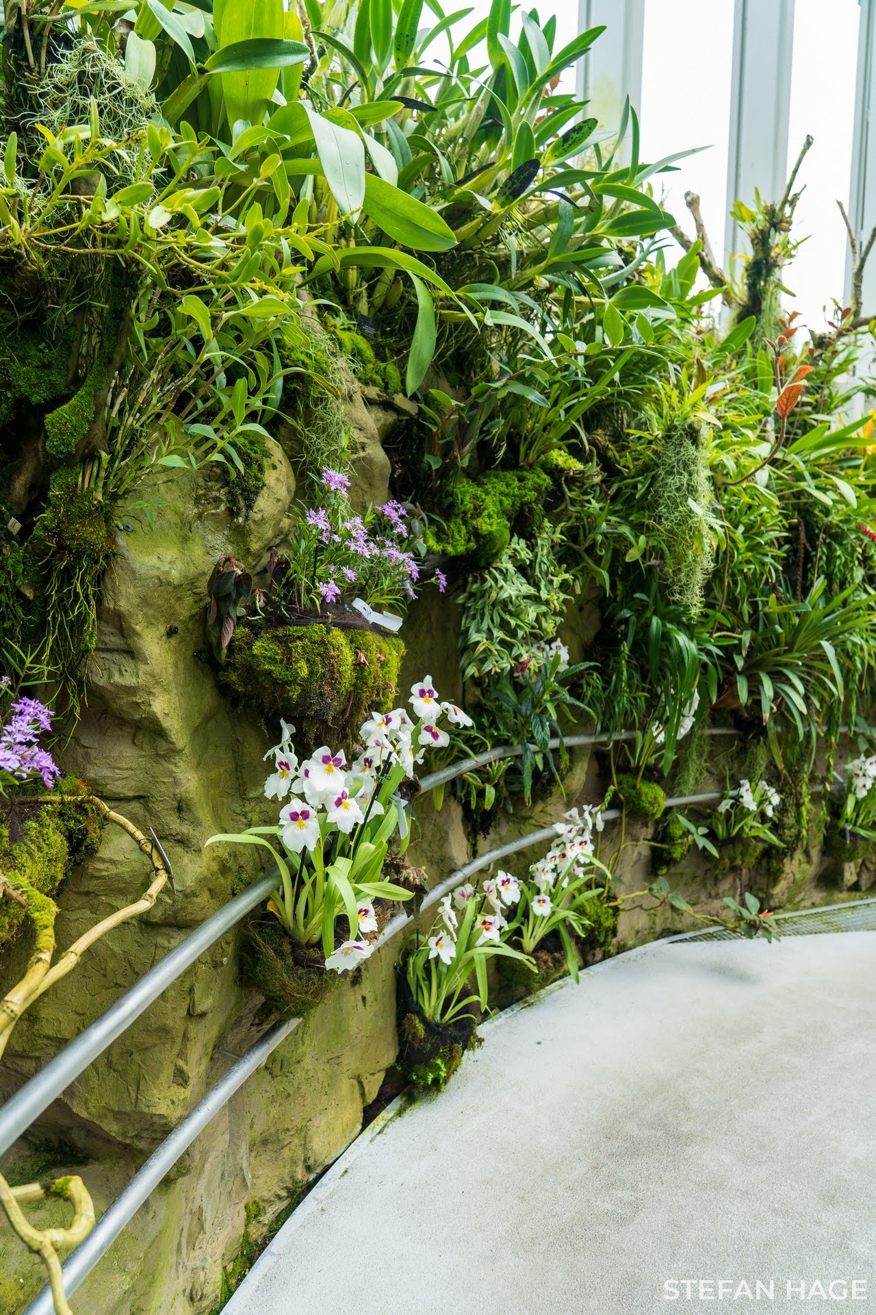 Orchid Garden Singapore