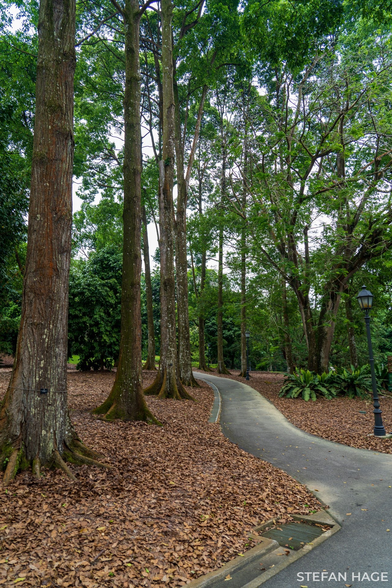Botanische tuin Singapore