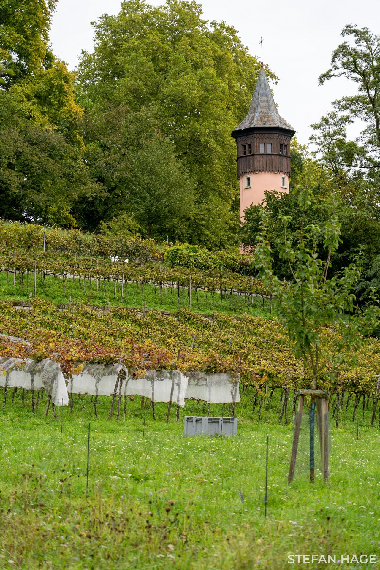 Insel Mainau
