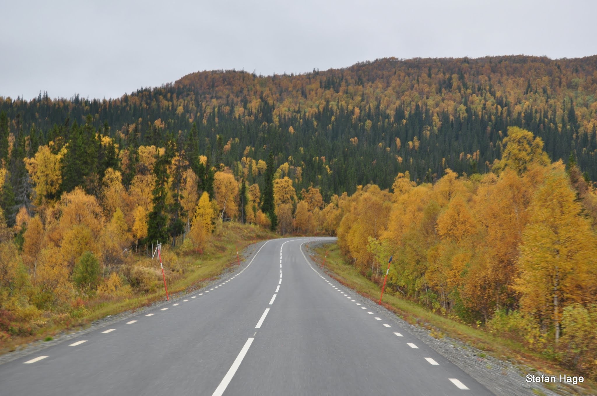 Vildmarksvagen roadtrip