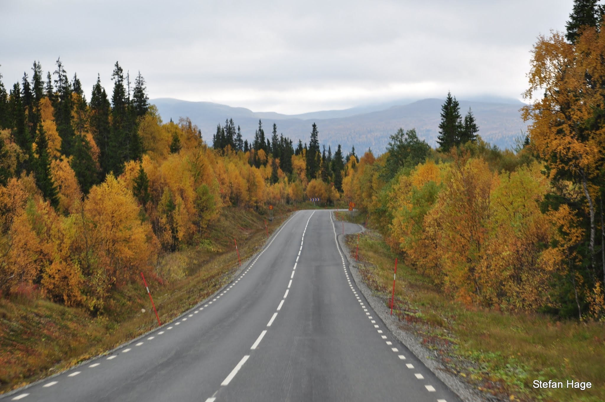 Vildmarksvagen roadtrip